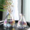 Modern Style Glass Transparent Vases